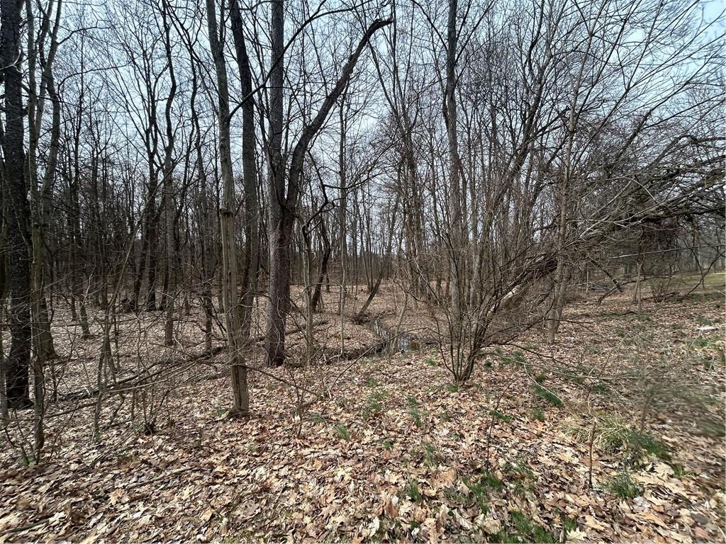 165 Manns Road Ruffs Dale, PA 15679 - Photo 2 of 5 a backyard of a house with lots of green space