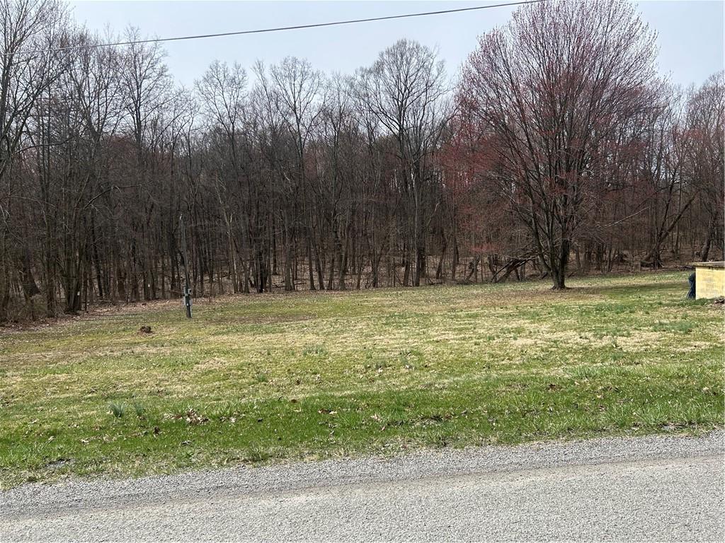 165 Manns Road Ruffs Dale, PA 15679 - Photo 5 of 5 a view of outdoor space with trees all around