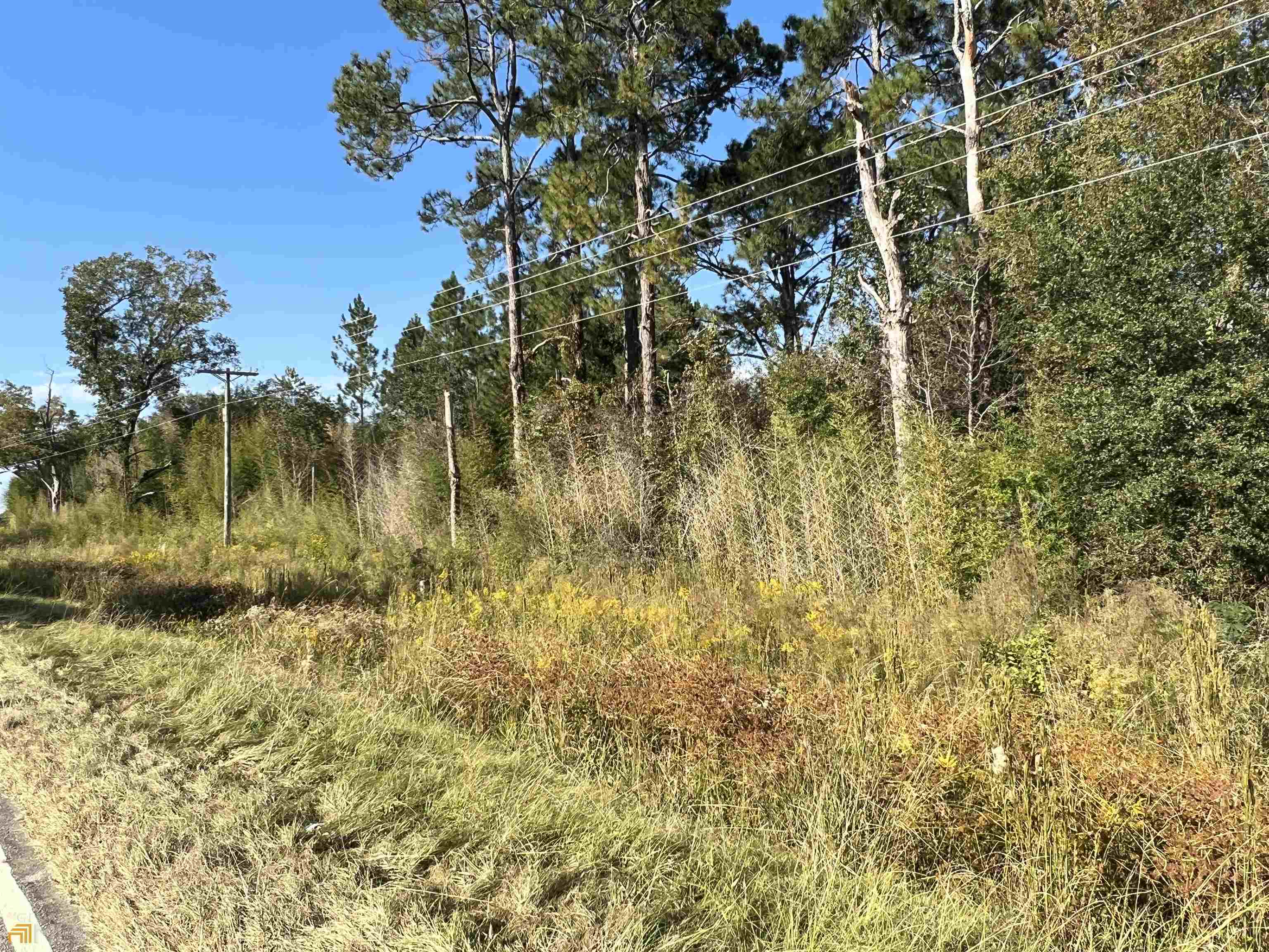 0 Sapps Lake Road Enigma, GA 31749 - Photo 1 of 1