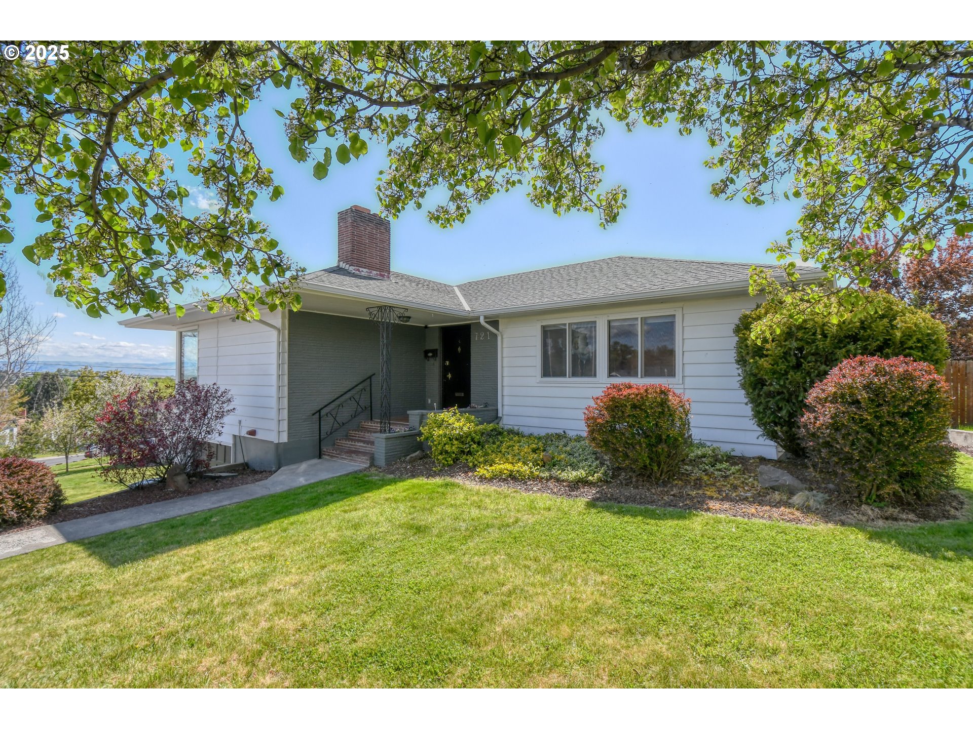 a view of a house with a yard and potted plants