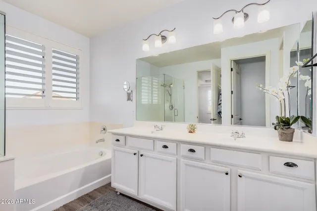a bathroom with a double vanity sink mirror double and bathtub
