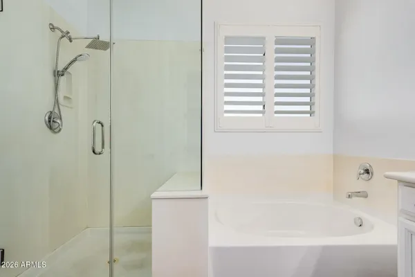 a bathroom with a bath tub and a shower
