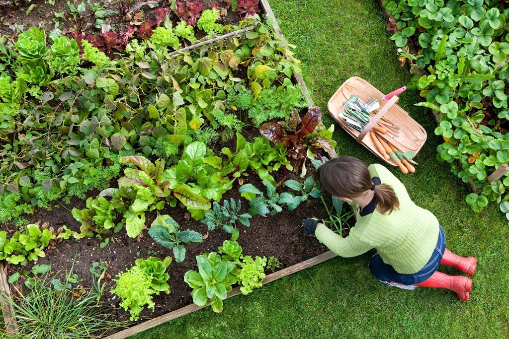 0 Oxbow Road, Unit 39 Raynham, MA 02767 - Photo 24 of 24 a backyard of a house with lots of green space and a lake view