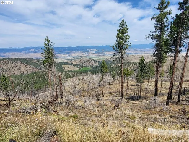 $99,000 | 25422 Baldy Mountain Road, John Day, OR 97845