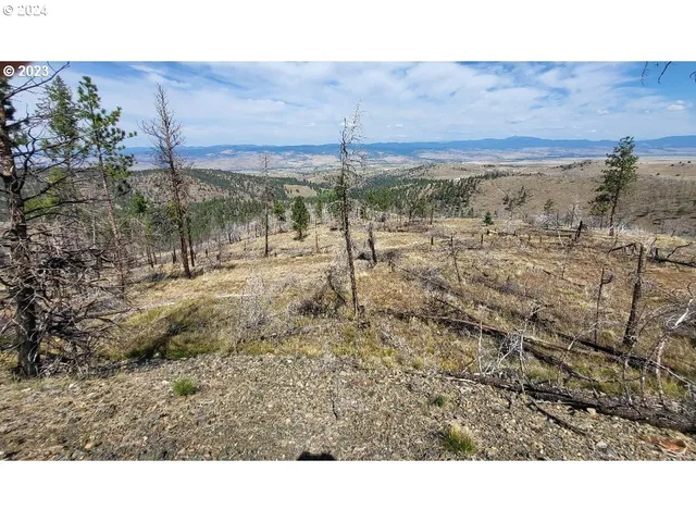 $99,000 | 25422 Baldy Mountain Road, John Day, OR 97845