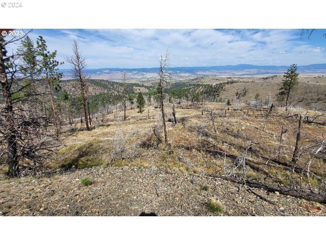 25422 Baldy Mountain Road John Day, OR 97845 - Photo 2 of 10