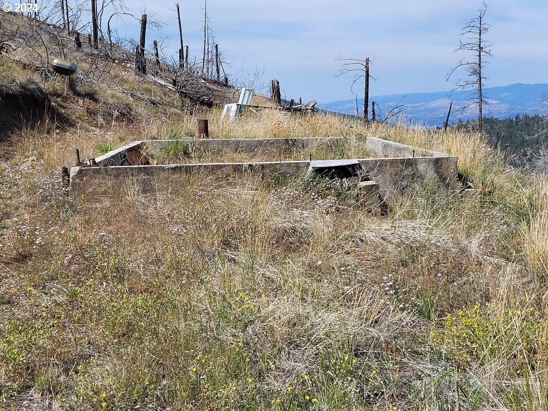 25422 Baldy Mountain Road John Day, OR 97845 - Photo 3 of 10