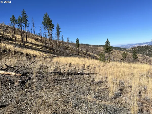$99,000 | 25422 Baldy Mountain Road, John Day, OR 97845
