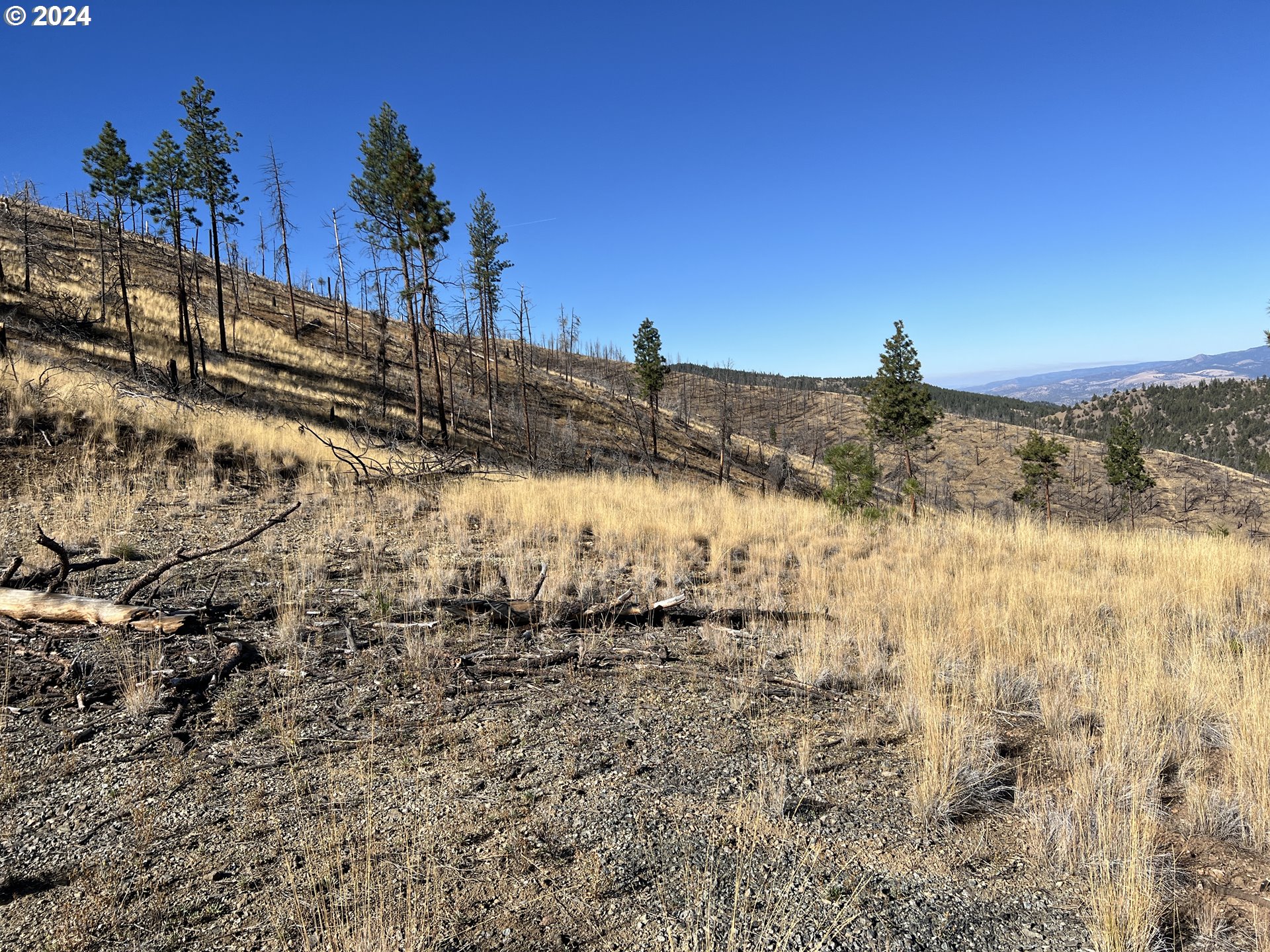 25422 Baldy Mountain Road John Day, OR 97845 - Photo 6 of 10