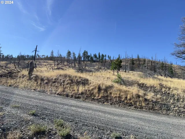 $99,000 | 25422 Baldy Mountain Road, John Day, OR 97845