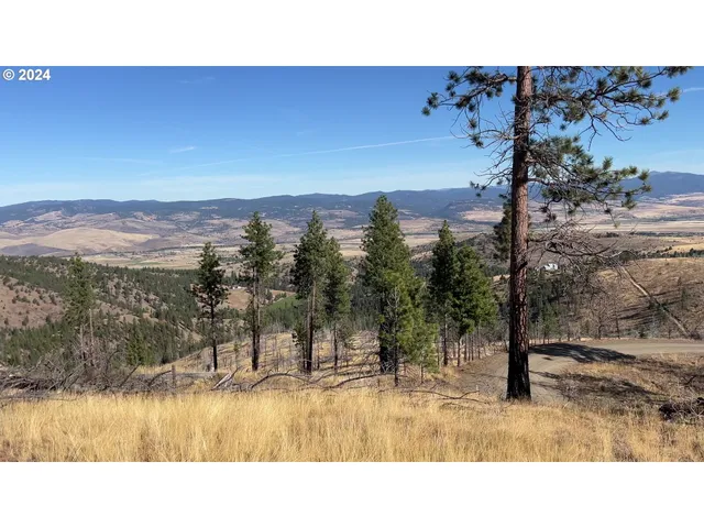 $99,000 | 25422 Baldy Mountain Road, John Day, OR 97845