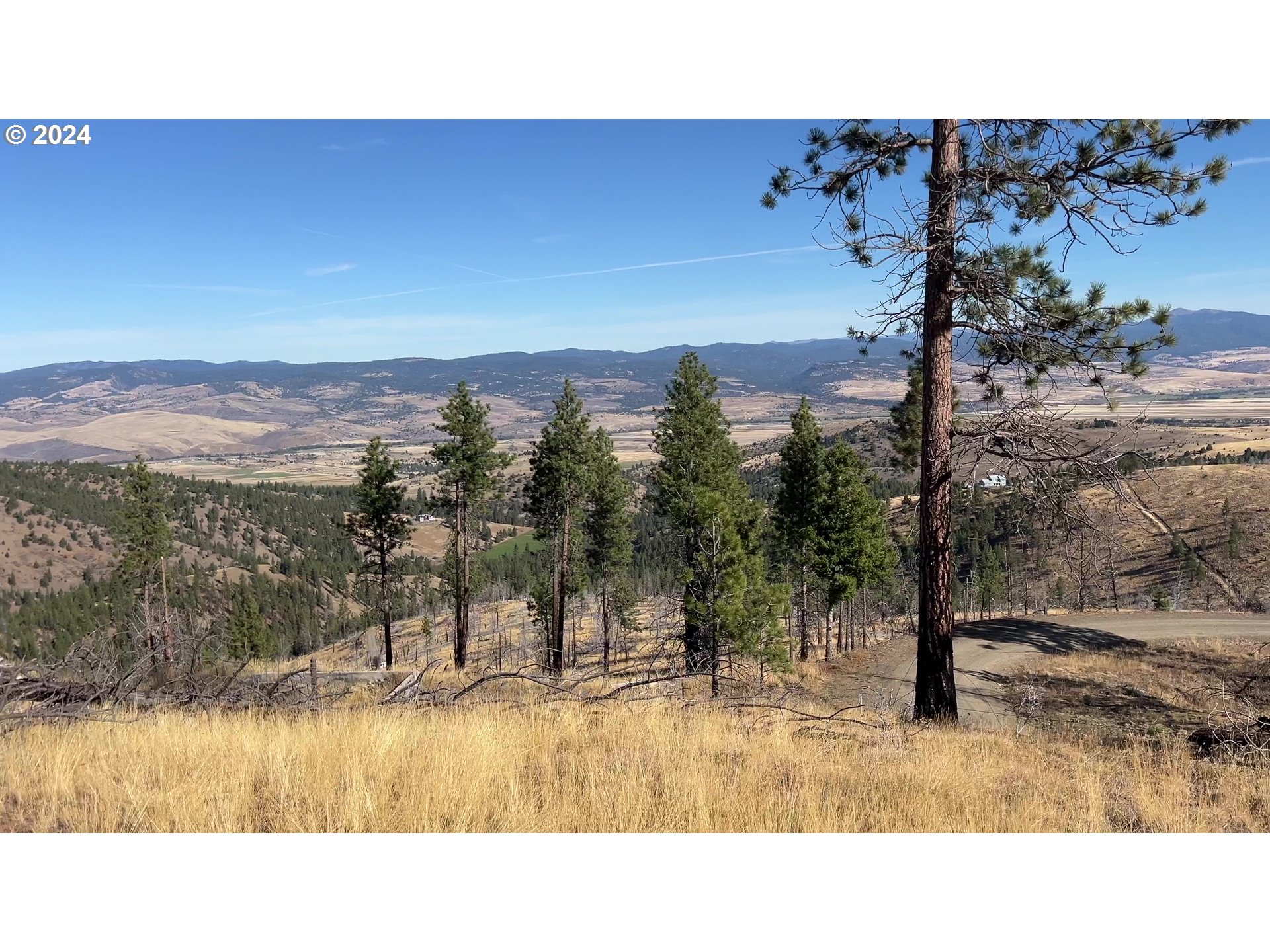 25422 Baldy Mountain Road John Day, OR 97845 - Photo 8 of 10