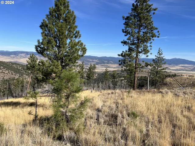 $99,000 | 25422 Baldy Mountain Road, John Day, OR 97845