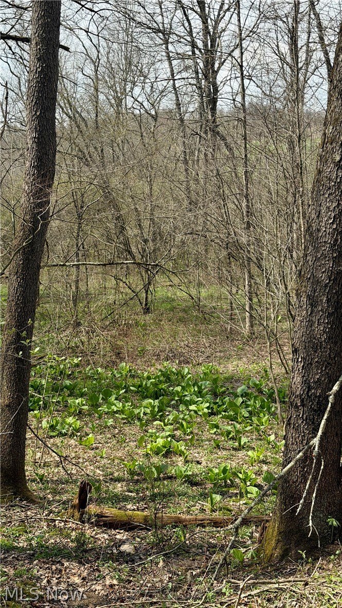 9100 Post Road Jewett, OH 43986 - Photo 33 of 46