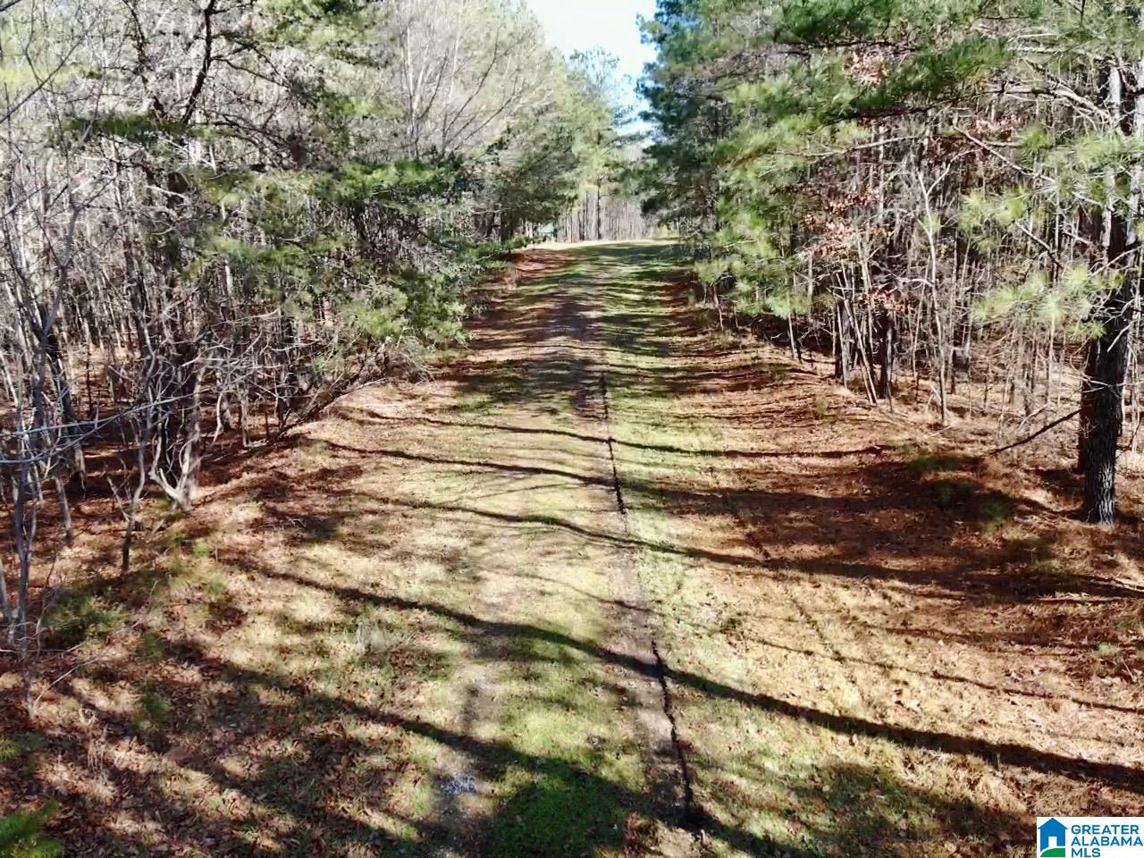 5000 Eads Uptain Road, Unit 1 2 3 4 Adger, AL 35006 - Photo 18 of 35