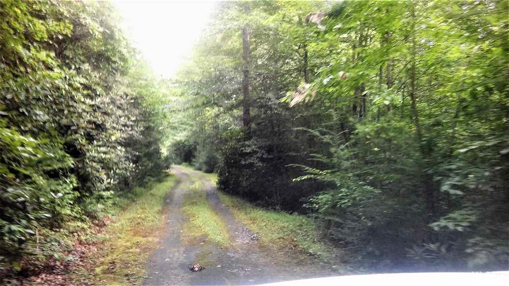 3376 Henderson Mill Road Morganton, NC 28655 - Photo 13 of 23 Gallery Image 13