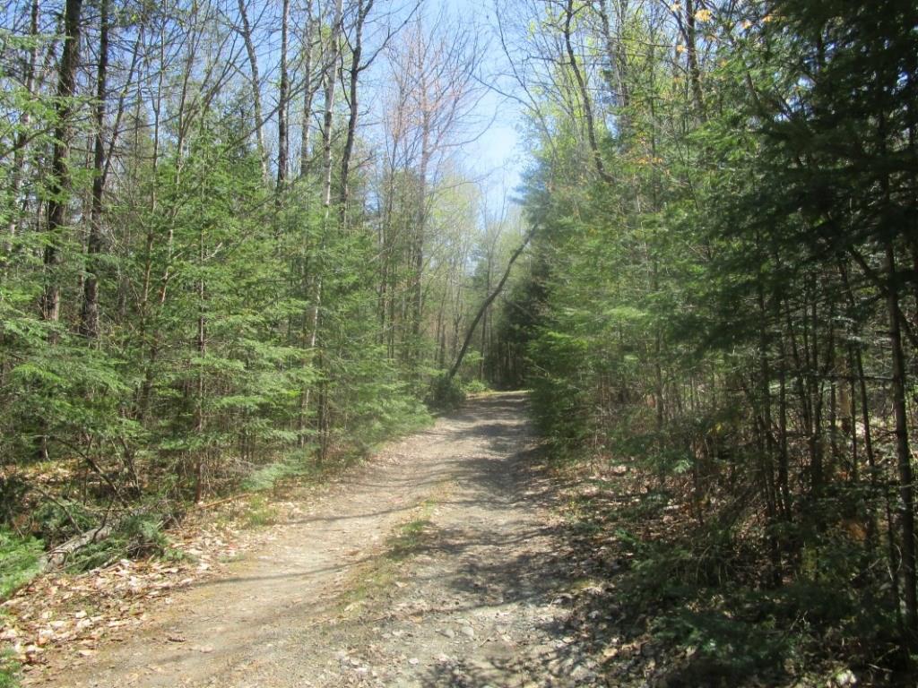 M1-l29-2 Basford Road Detroit, ME 04929 - Photo 1 of 13 Wooded lot with the road