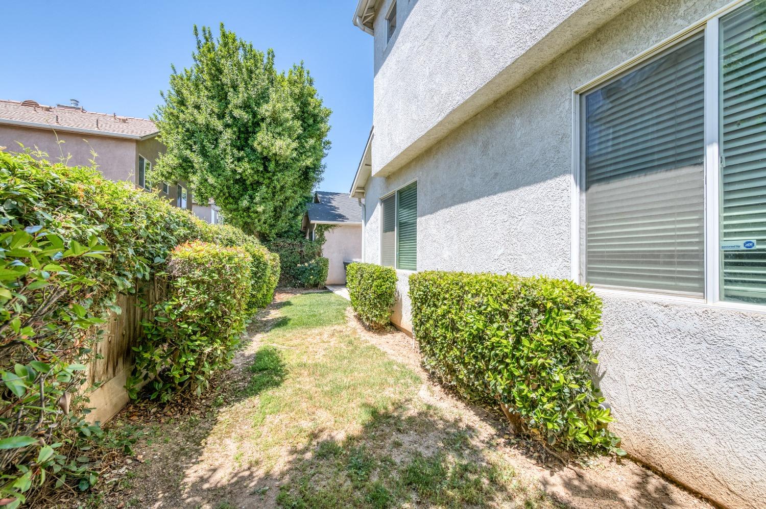 694 West Lisbon Lane Clovis, CA 93619 - Photo 30 of 39 a view of a yard with plants and large trees