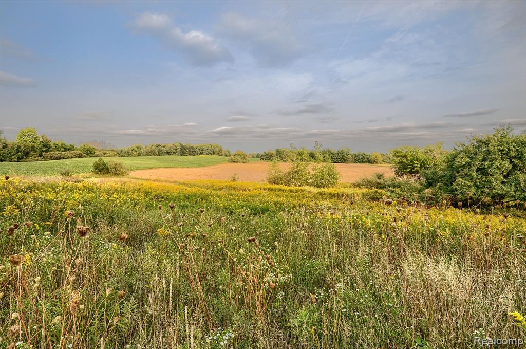4431 Gosline Road Marlette, MI 48453 - Photo 46 of 67