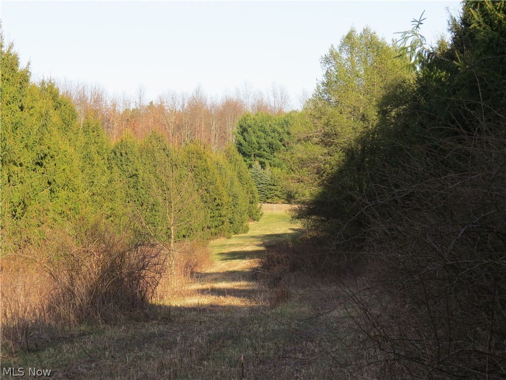 Nectar Road Salineville, OH 43945 - Photo 13 of 15 Gallery Image 13