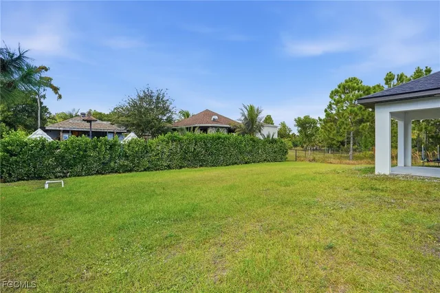 a view of a big yard with potted plants and large tree