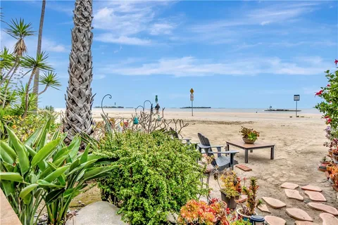 a view of a beach with a palm tree