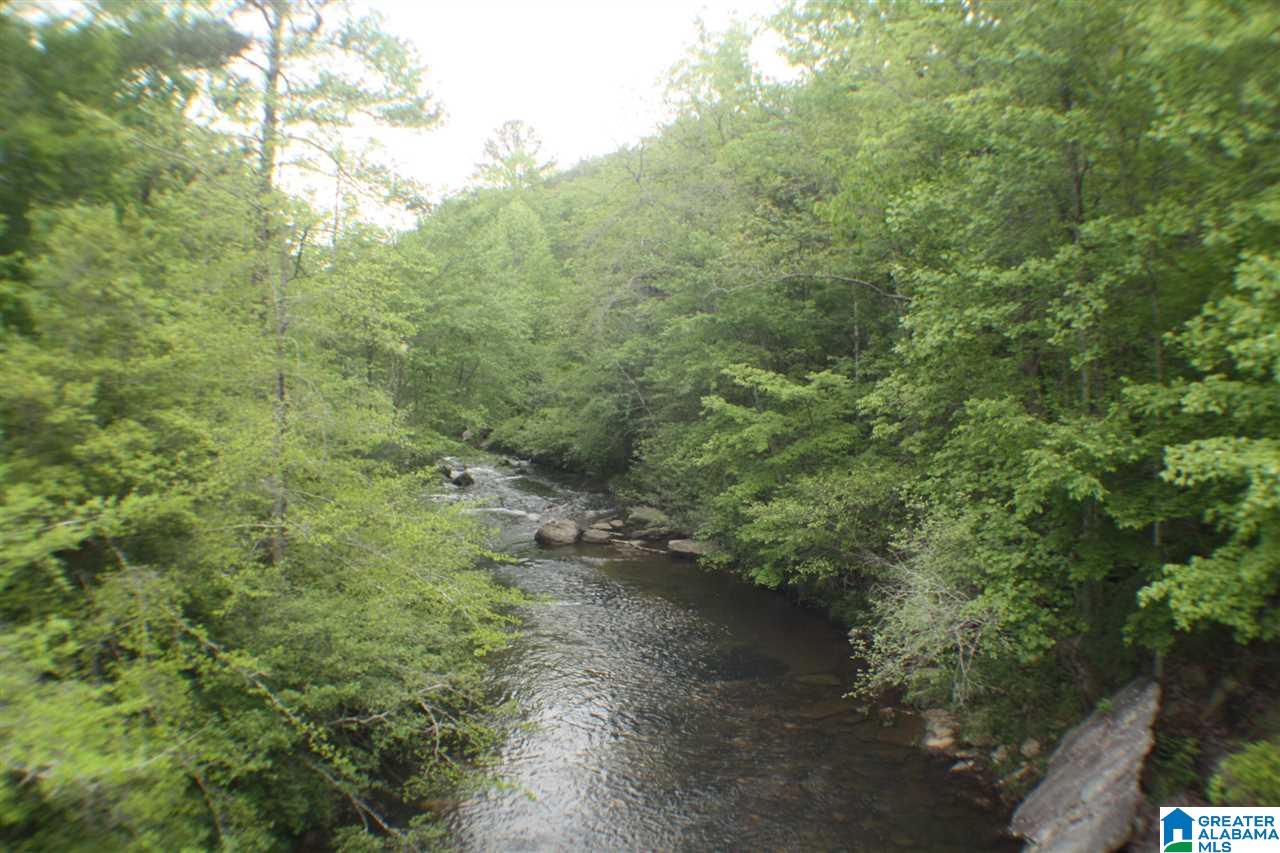 5915 County Road 275 Fort Payne, AL 35967 - Photo 21 of 22