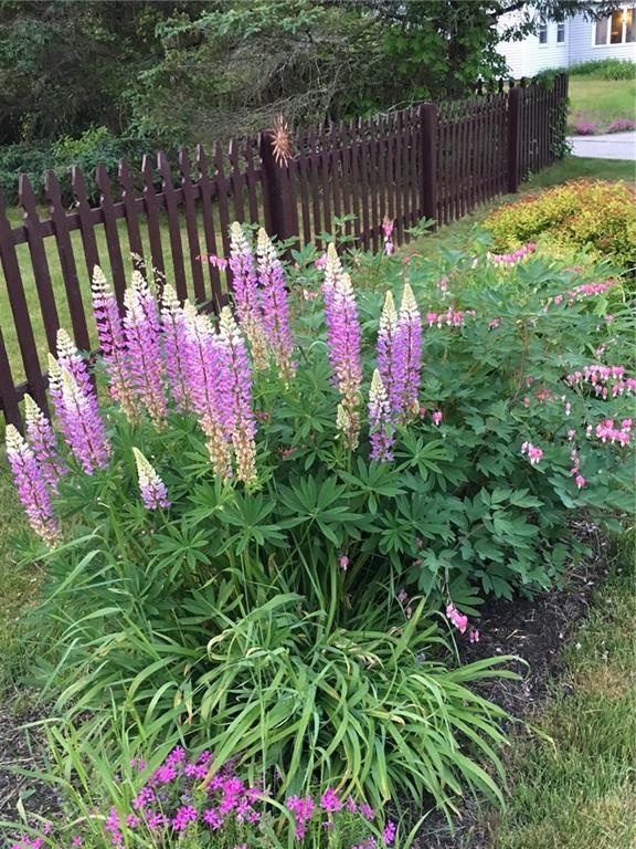 168 Randall Road North Berwick, ME 03906 - Photo 27 of 35 Photo
