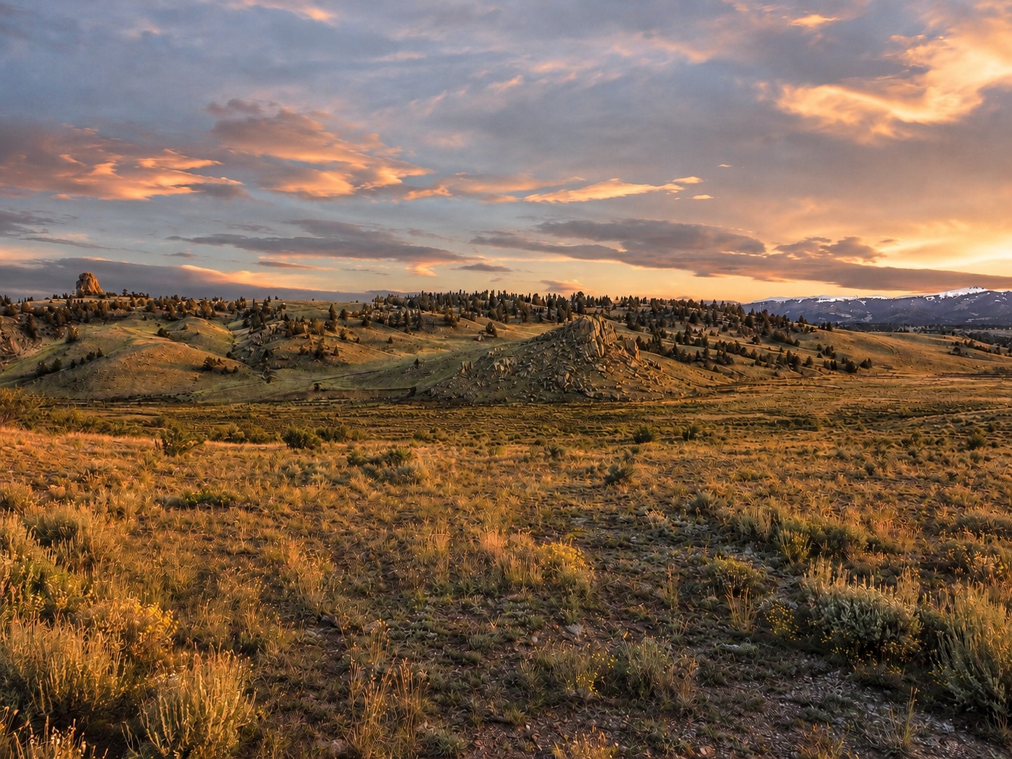 2017 Travois Road Jefferson, CO 80456 - Photo 7 of 9