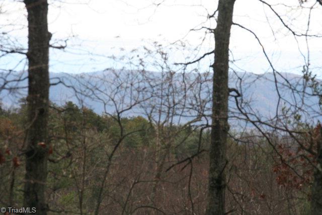 6718 Sampson Road Lenoir, NC 28645 - Photo 8 of 9 Gallery Image 8
