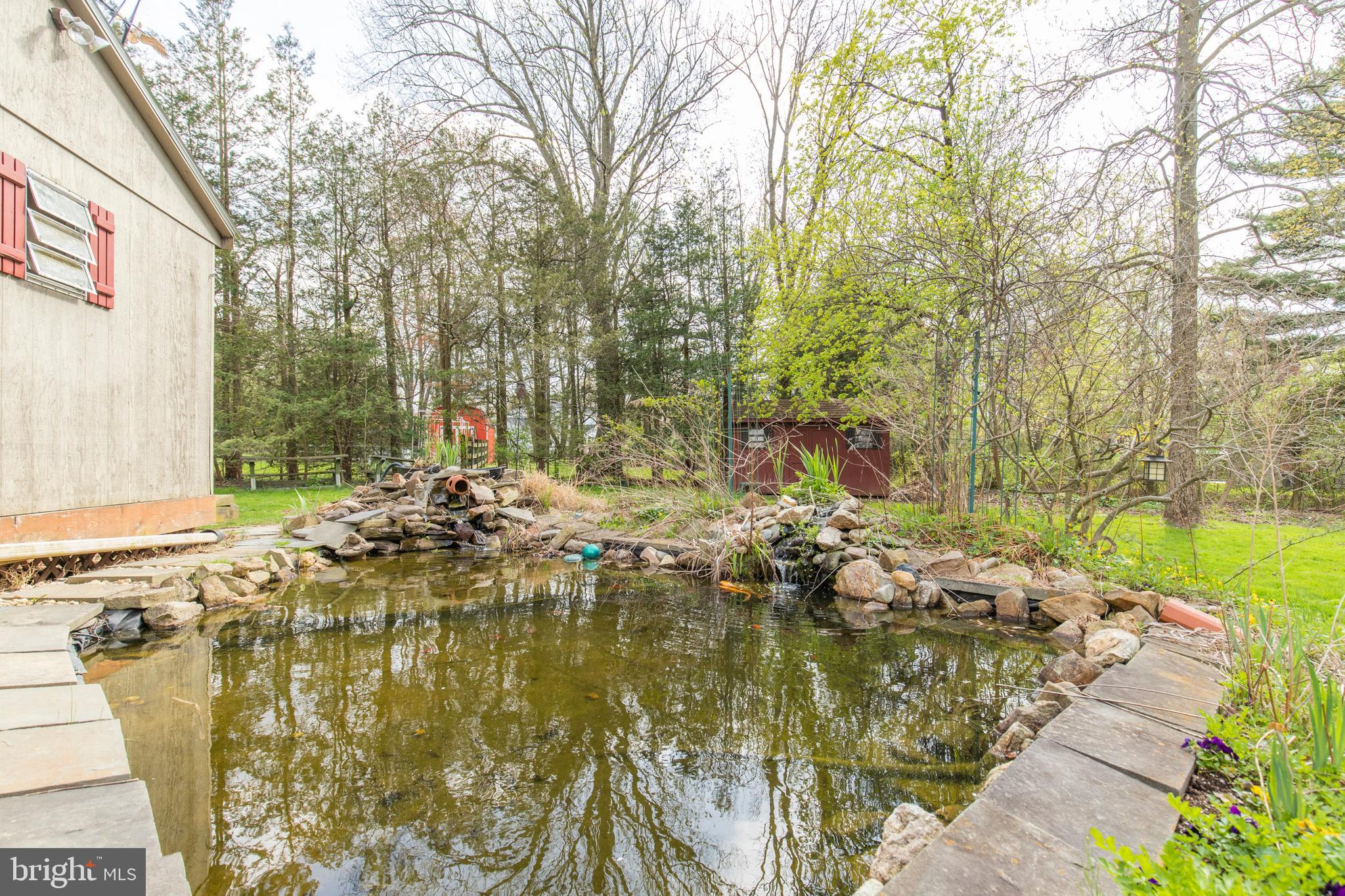 Pond
