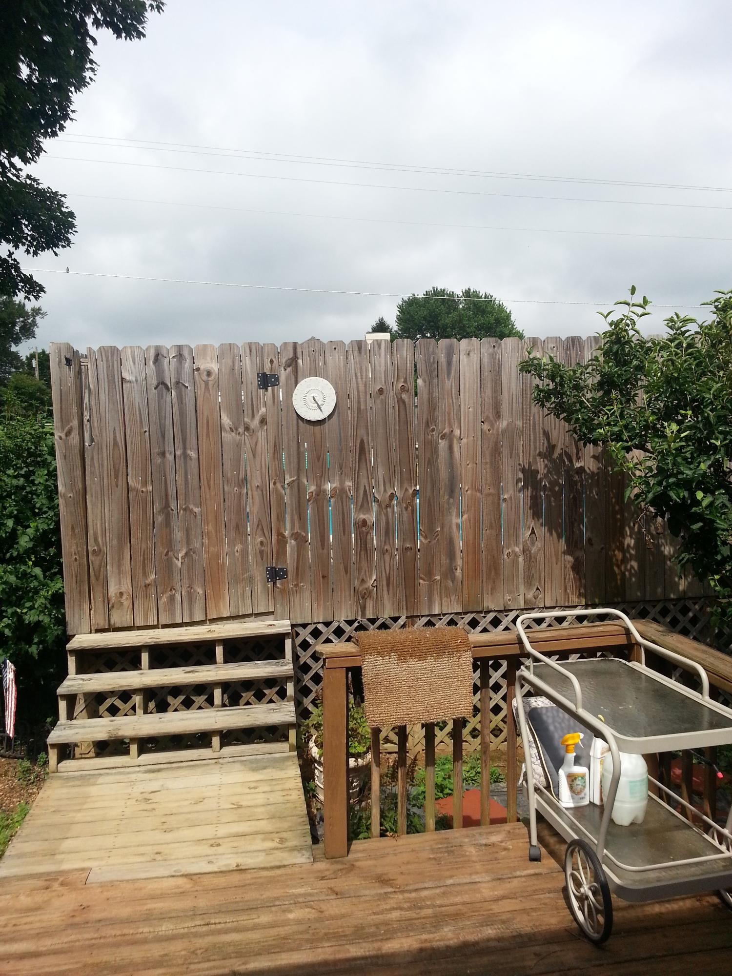 115 Springfield Lane Jacksboro, TN 37757 - Photo 26 of 26 20140630_161811
