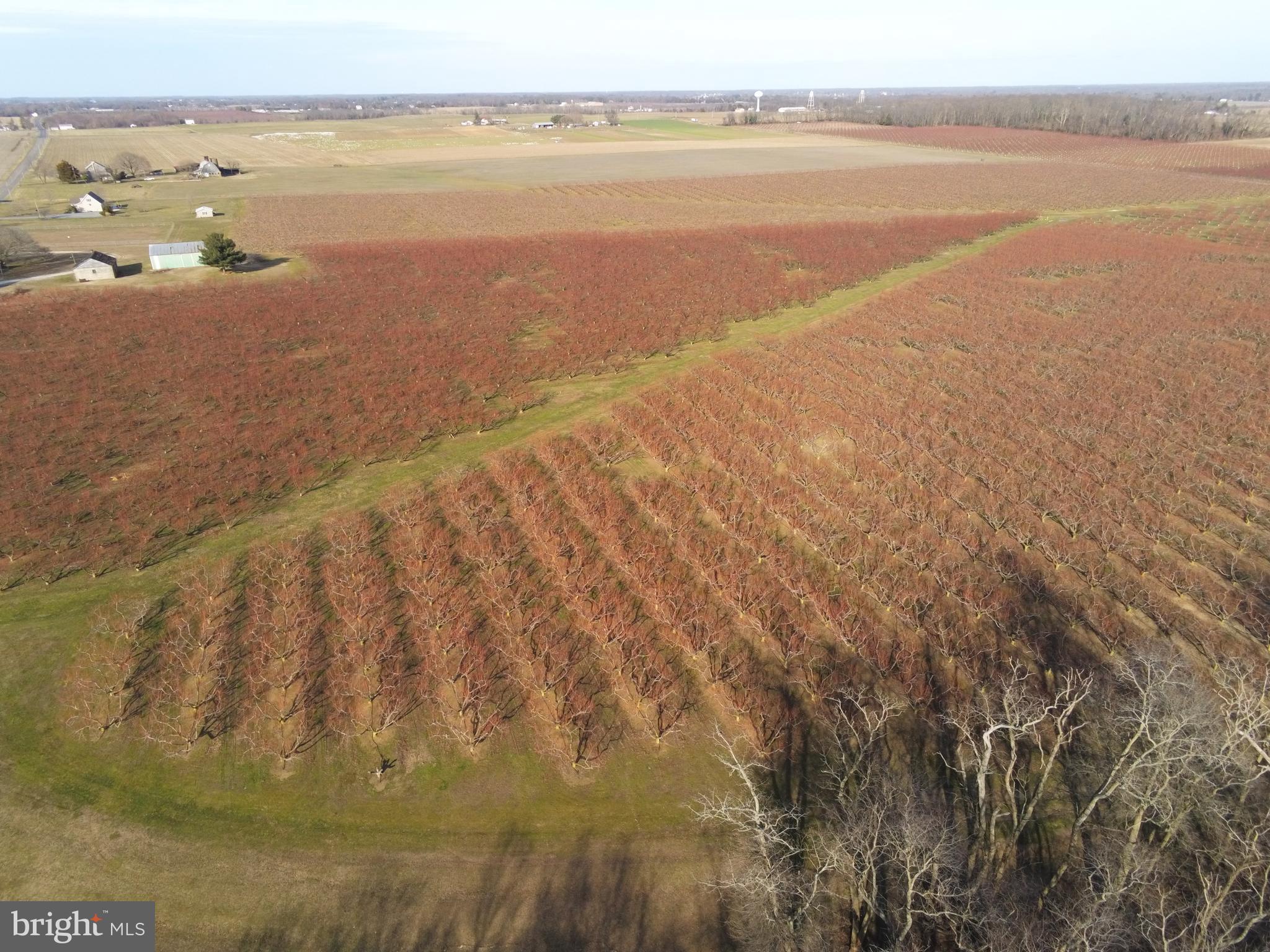 77 Barretts Run Road Bridgeton, NJ 08302 - Photo 6 of 17 a view of an ocean