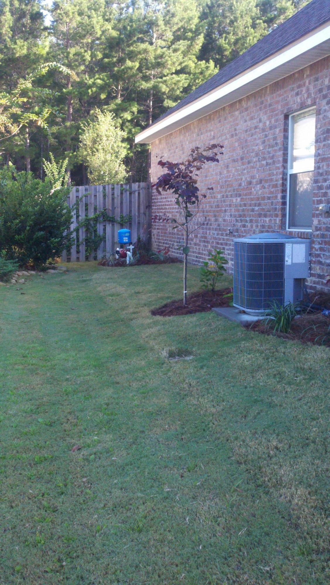 36 Rhapsody Street Freeport, FL 32439 - Photo 11 of 27 pt46