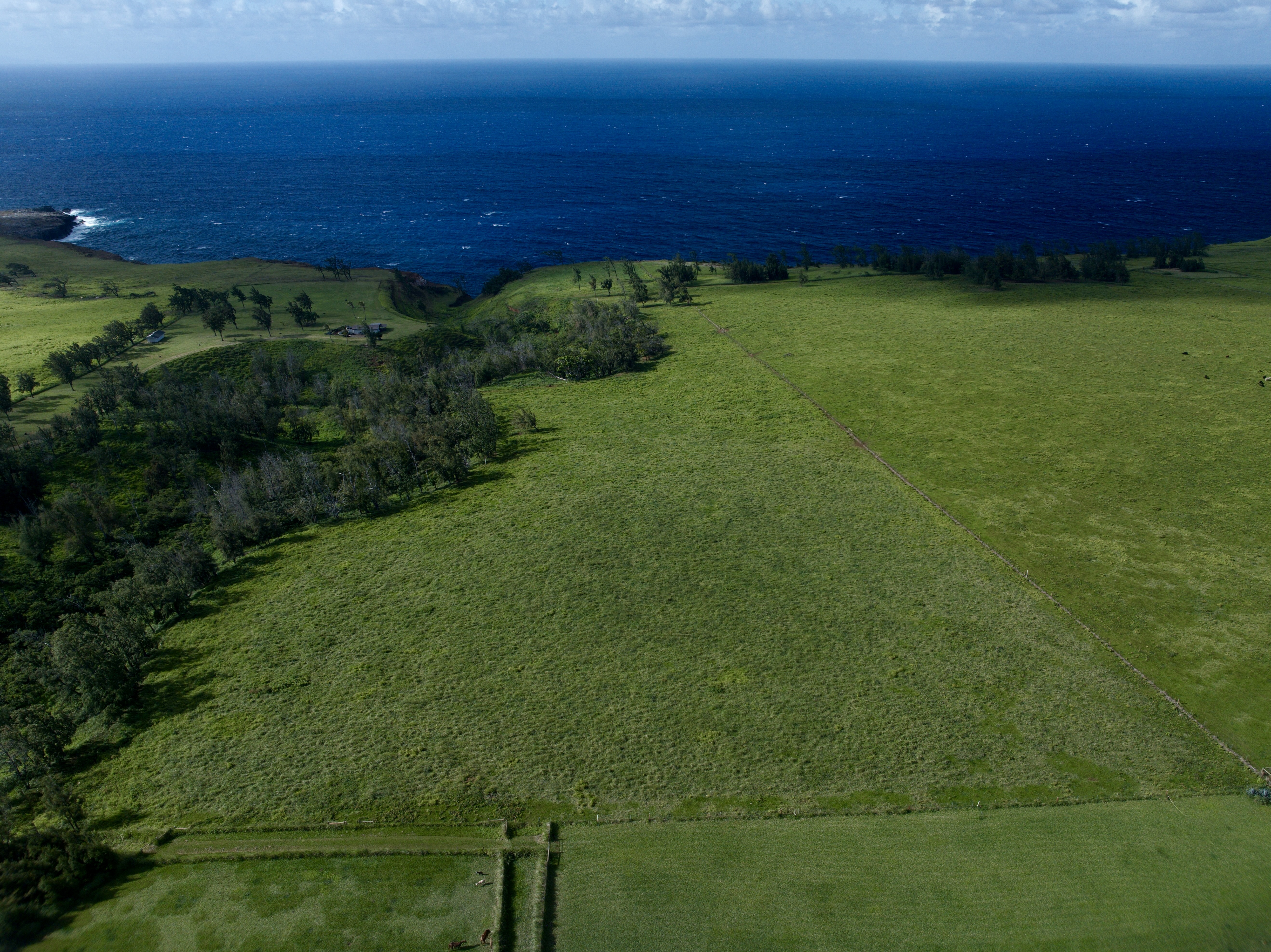 55-199 Hoea Road Hawi, HI 96719 - Photo 3 of 19