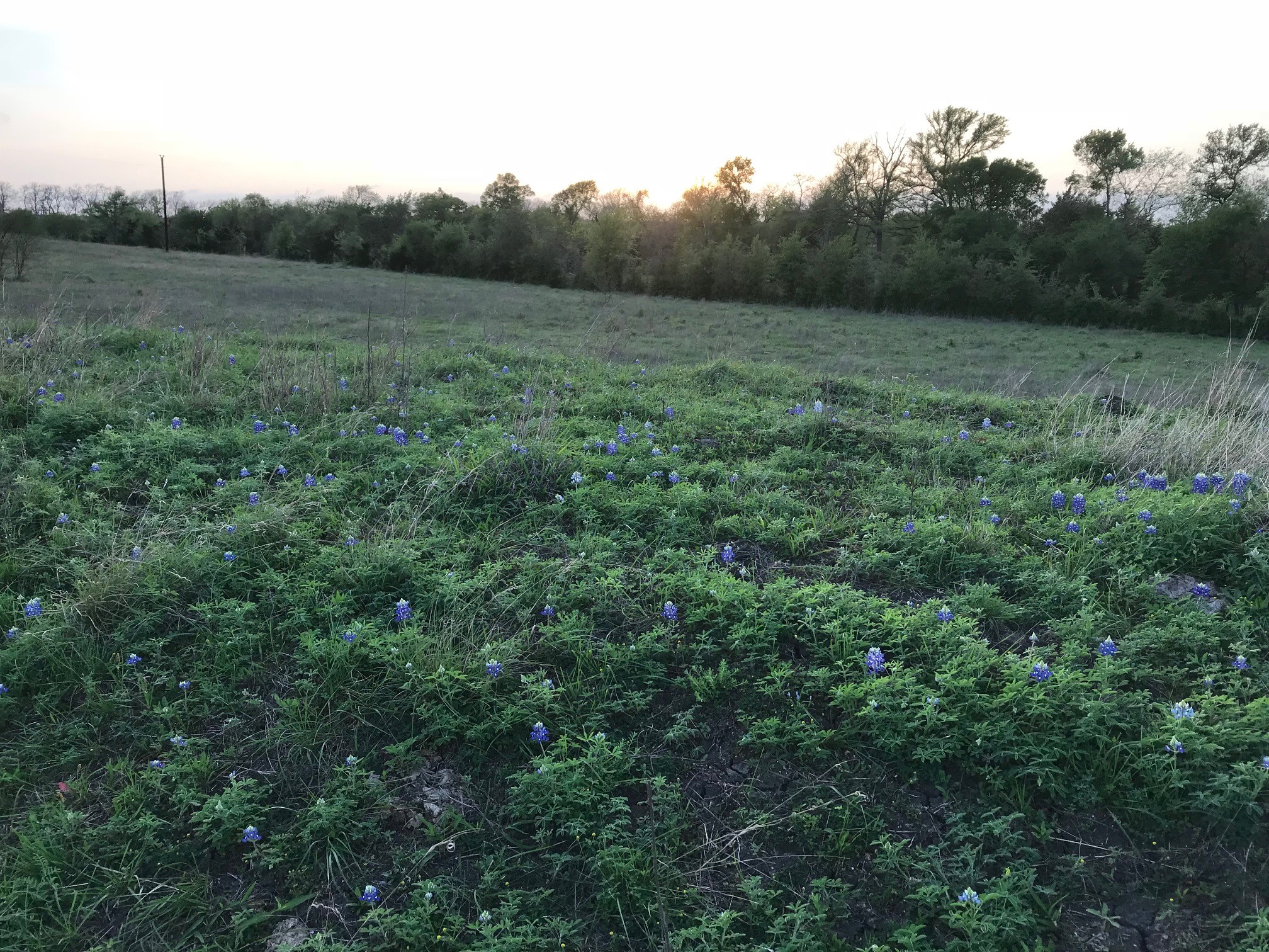 5796 Hurtig Road Bleiblerville, TX 78931 - Photo 11 of 27