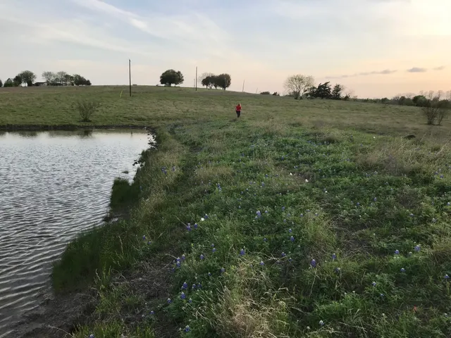 $1,299,000 | 5796 Hurtig Road, Bleiblerville, TX 78931