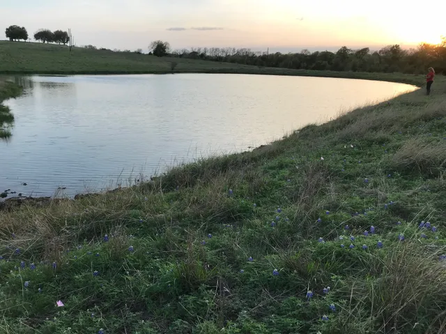 $1,299,000 | 5796 Hurtig Road, Bleiblerville, TX 78931