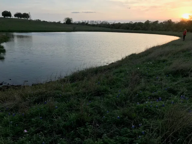 $1,299,000 | 5796 Hurtig Road, Bleiblerville, TX 78931