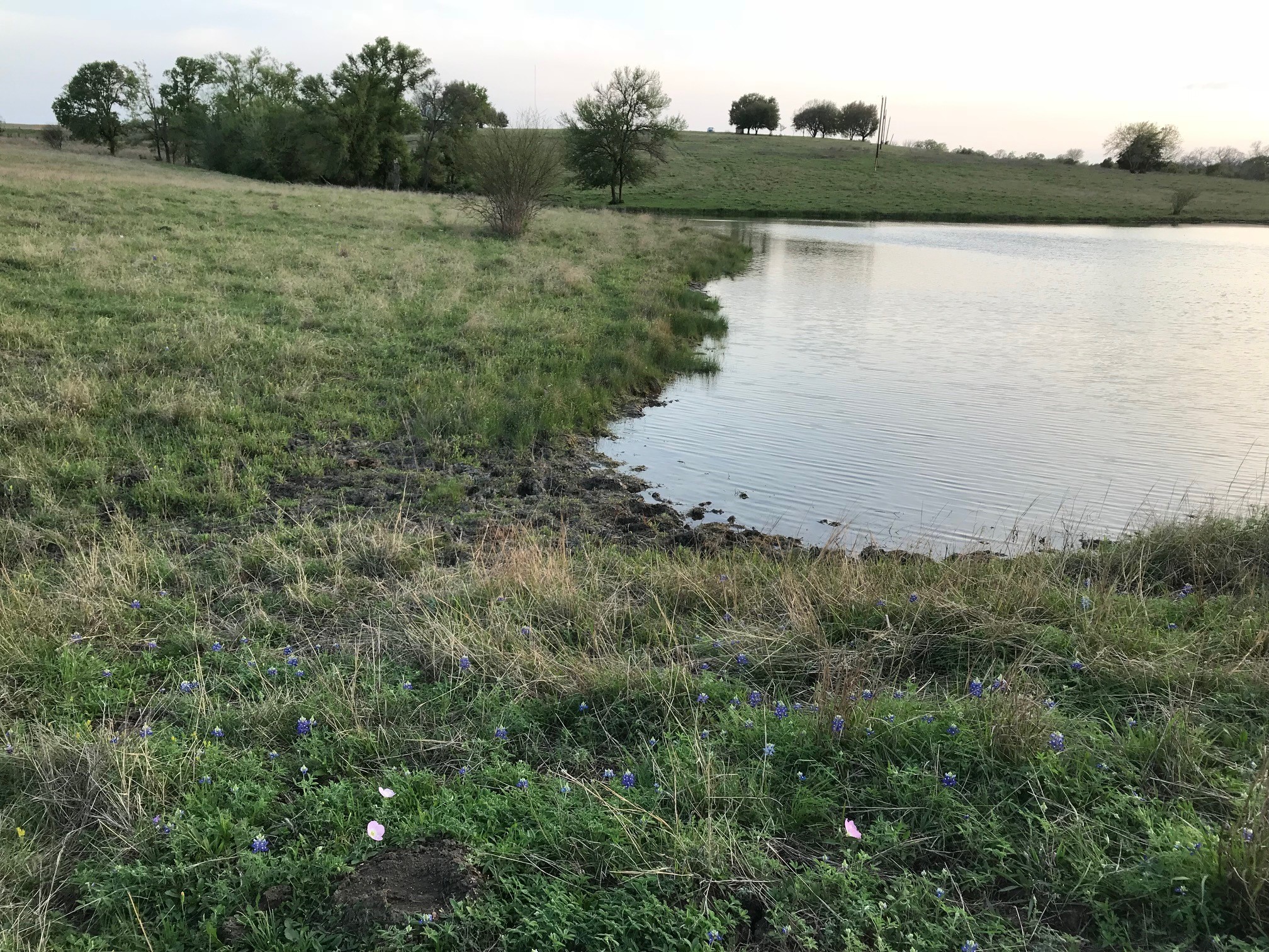 5796 Hurtig Road Bleiblerville, TX 78931 - Photo 15 of 27