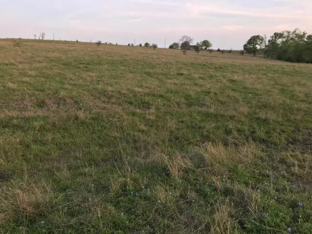 $1,299,000 | 5796 Hurtig Road, Bleiblerville, TX 78931