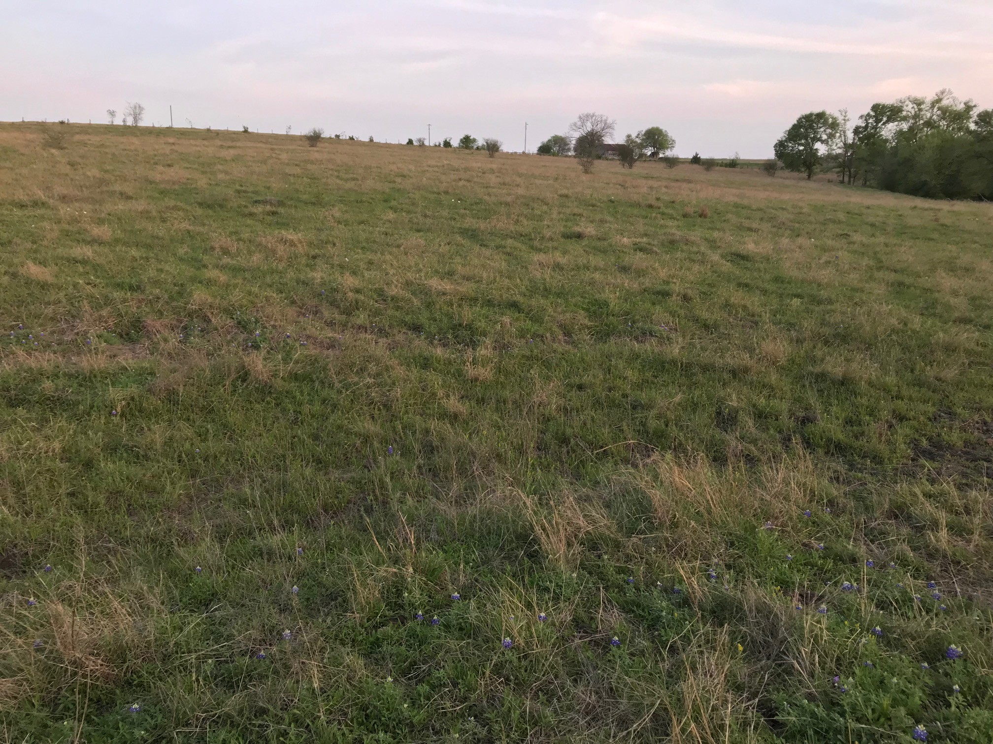 5796 Hurtig Road Bleiblerville, TX 78931 - Photo 16 of 27
