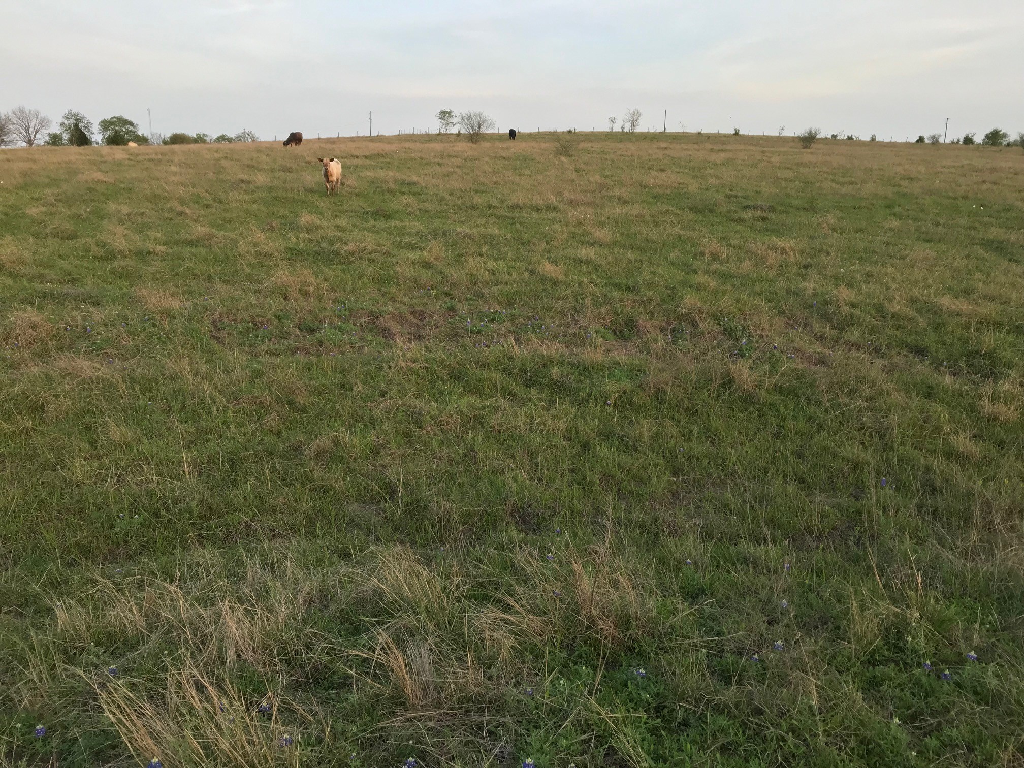 5796 Hurtig Road Bleiblerville, TX 78931 - Photo 17 of 27
