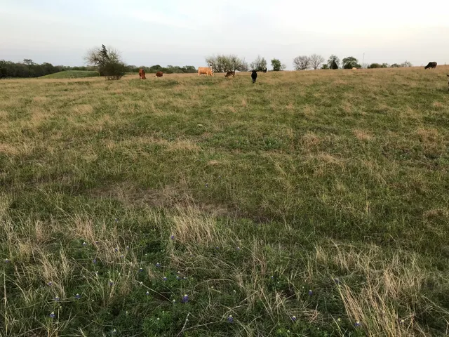 $1,299,000 | 5796 Hurtig Road, Bleiblerville, TX 78931