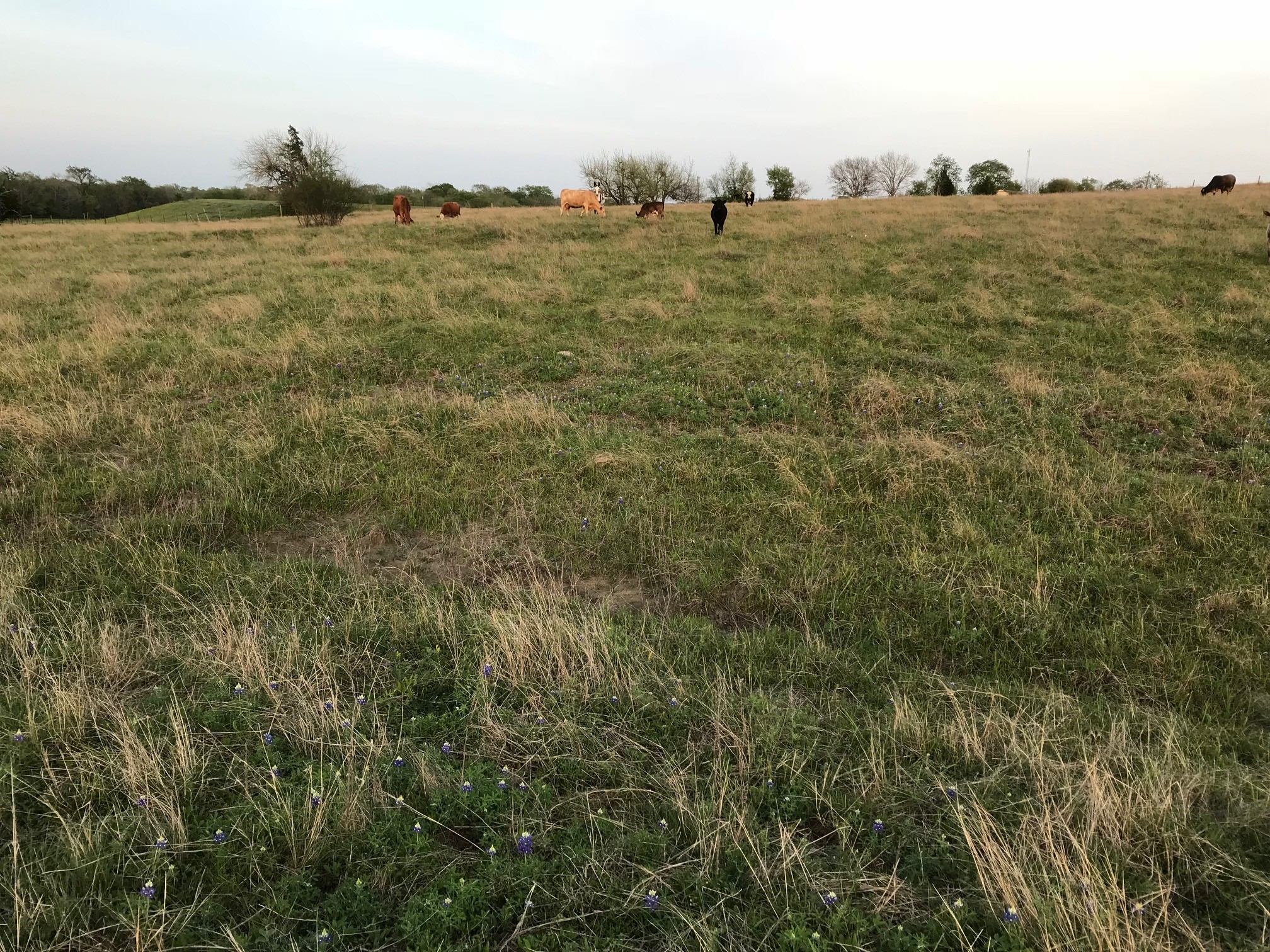 5796 Hurtig Road Bleiblerville, TX 78931 - Photo 18 of 27