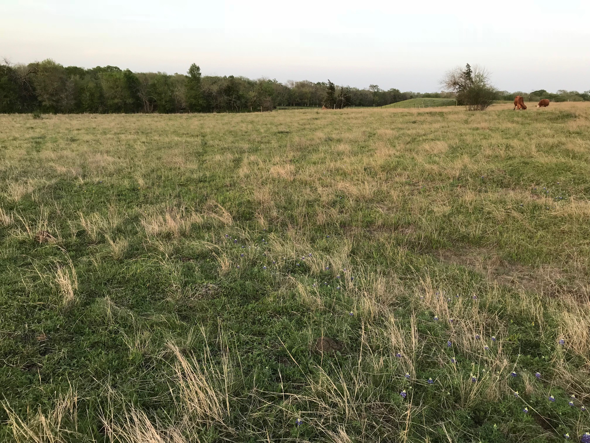 5796 Hurtig Road Bleiblerville, TX 78931 - Photo 19 of 27