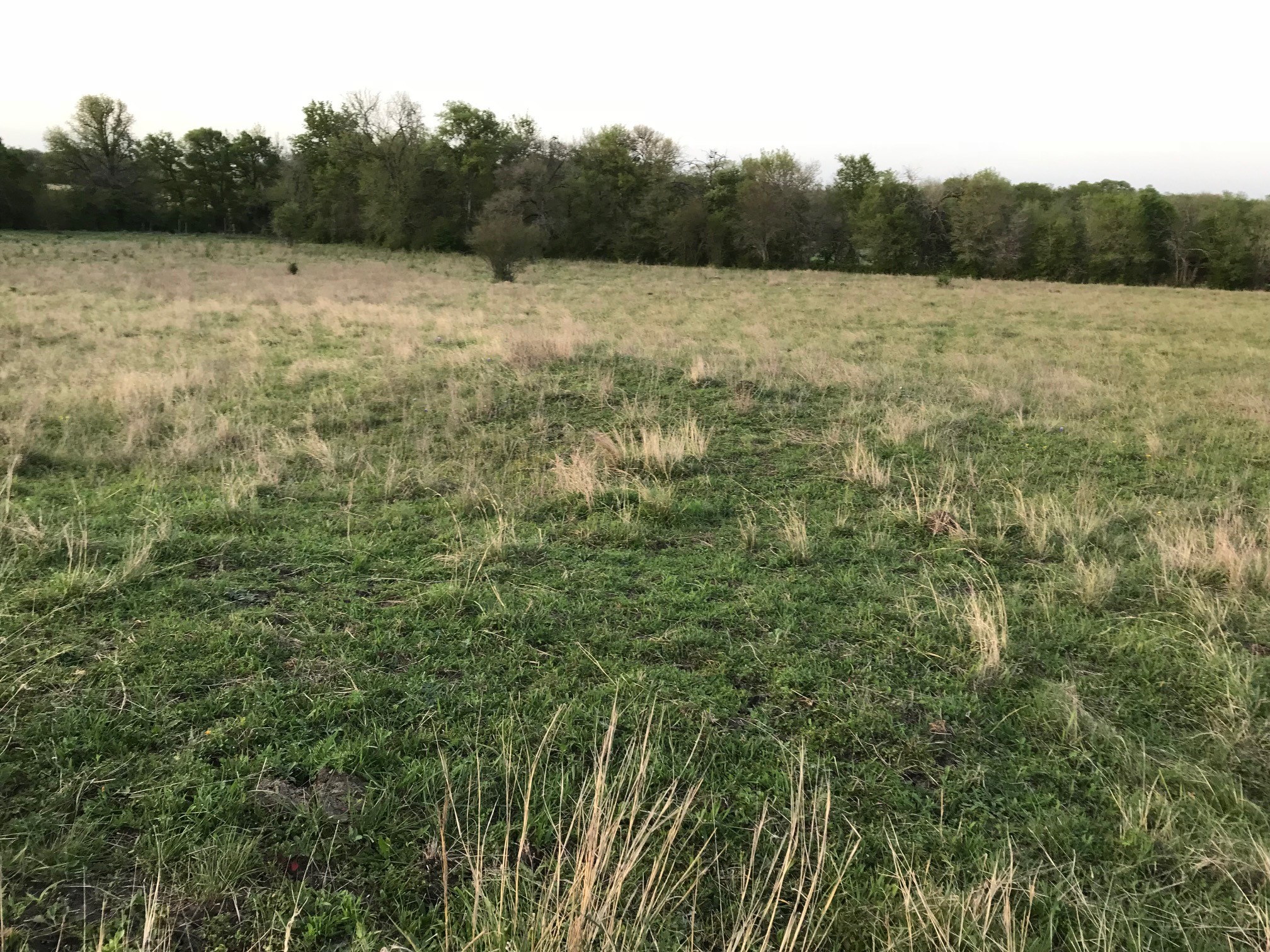 5796 Hurtig Road Bleiblerville, TX 78931 - Photo 20 of 27