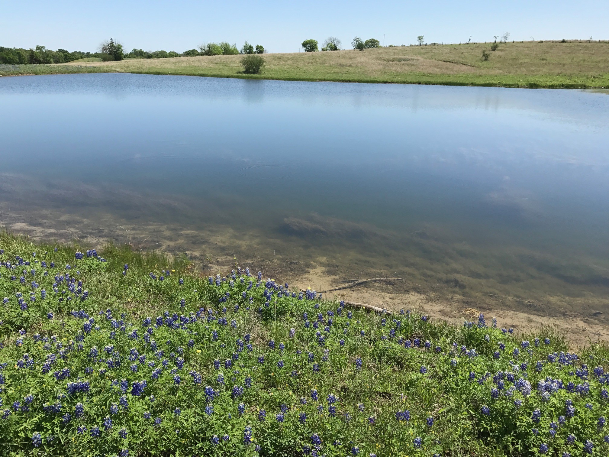 5796 Hurtig Road Bleiblerville, TX 78931 - Photo 2 of 27