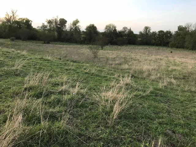 $1,299,000 | 5796 Hurtig Road, Bleiblerville, TX 78931