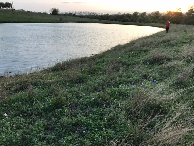 $1,299,000 | 5796 Hurtig Road, Bleiblerville, TX 78931